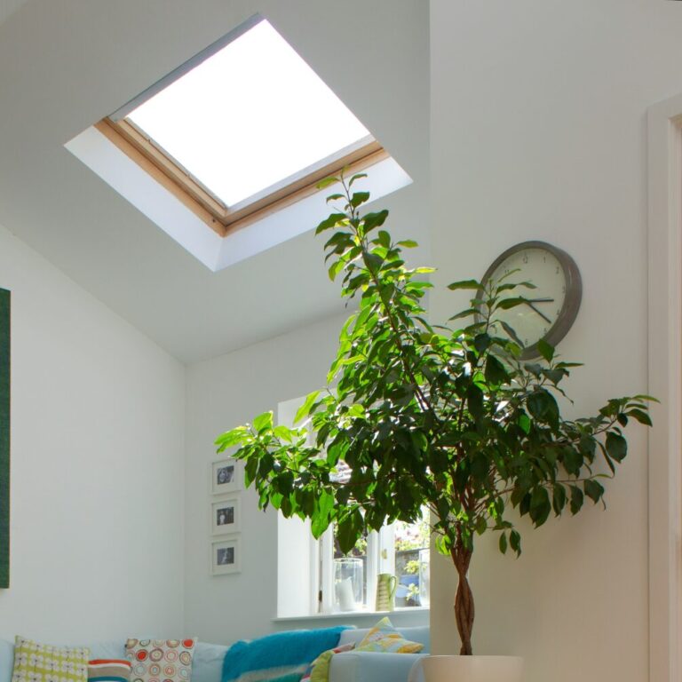 rd construction Bouhans les montbozon 70230